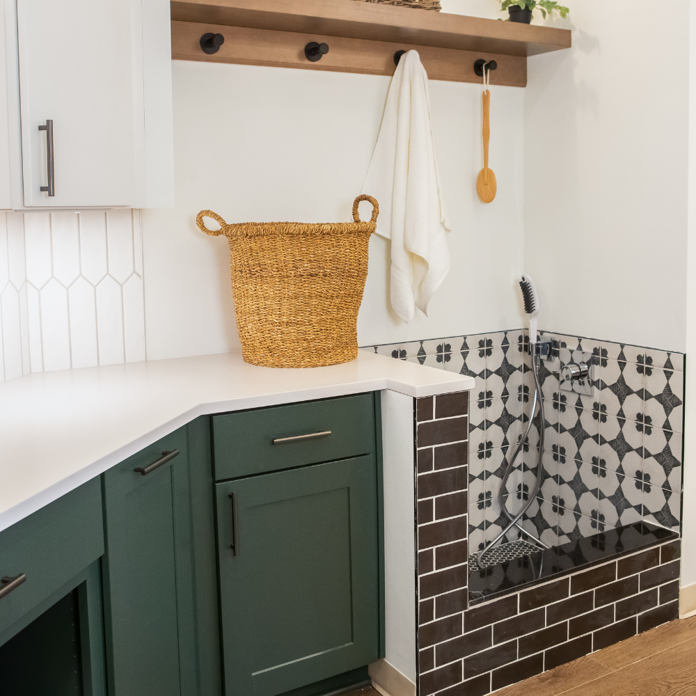 Pet washing area at Masterpiece Lighting Kiba Studios